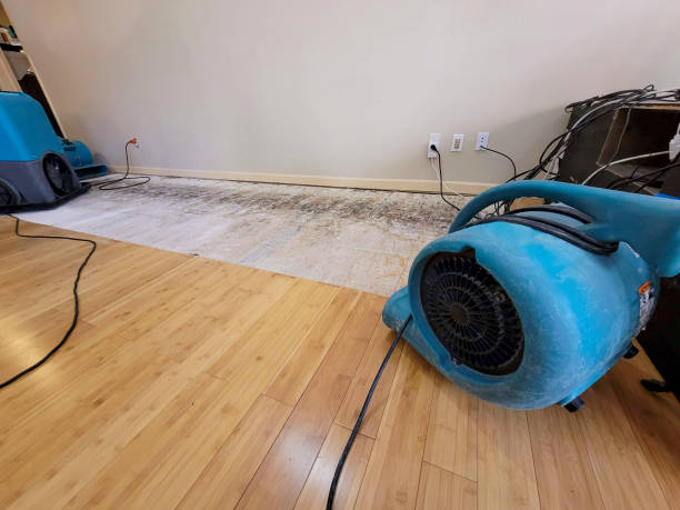 Professional Sewage Cleanup technician working in Gurley, AL